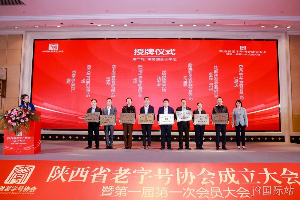 图片12 图片12