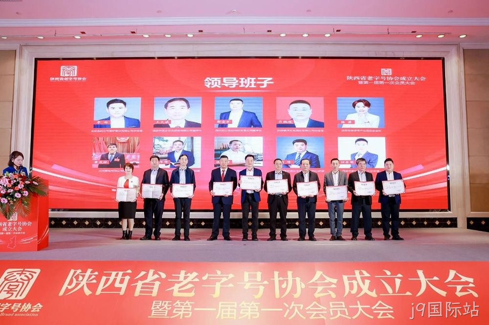 图片13 图片13